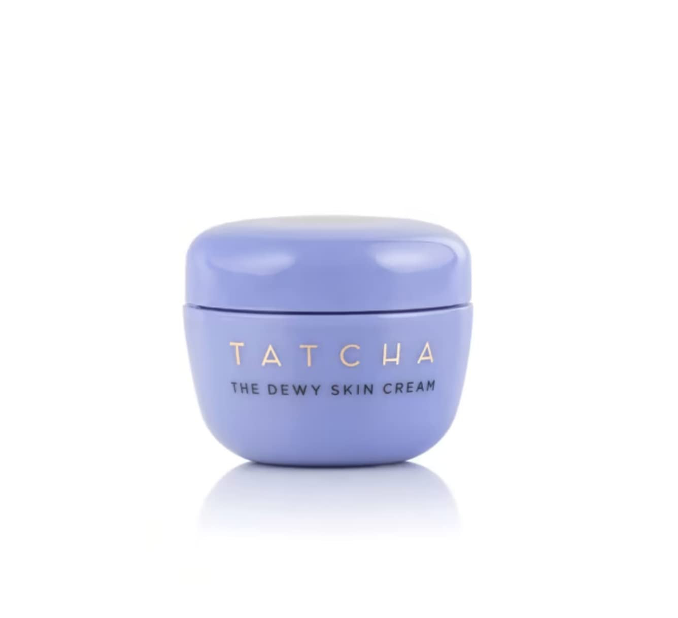 the Dewy Skin Cream: Rich Cream to Hydrate