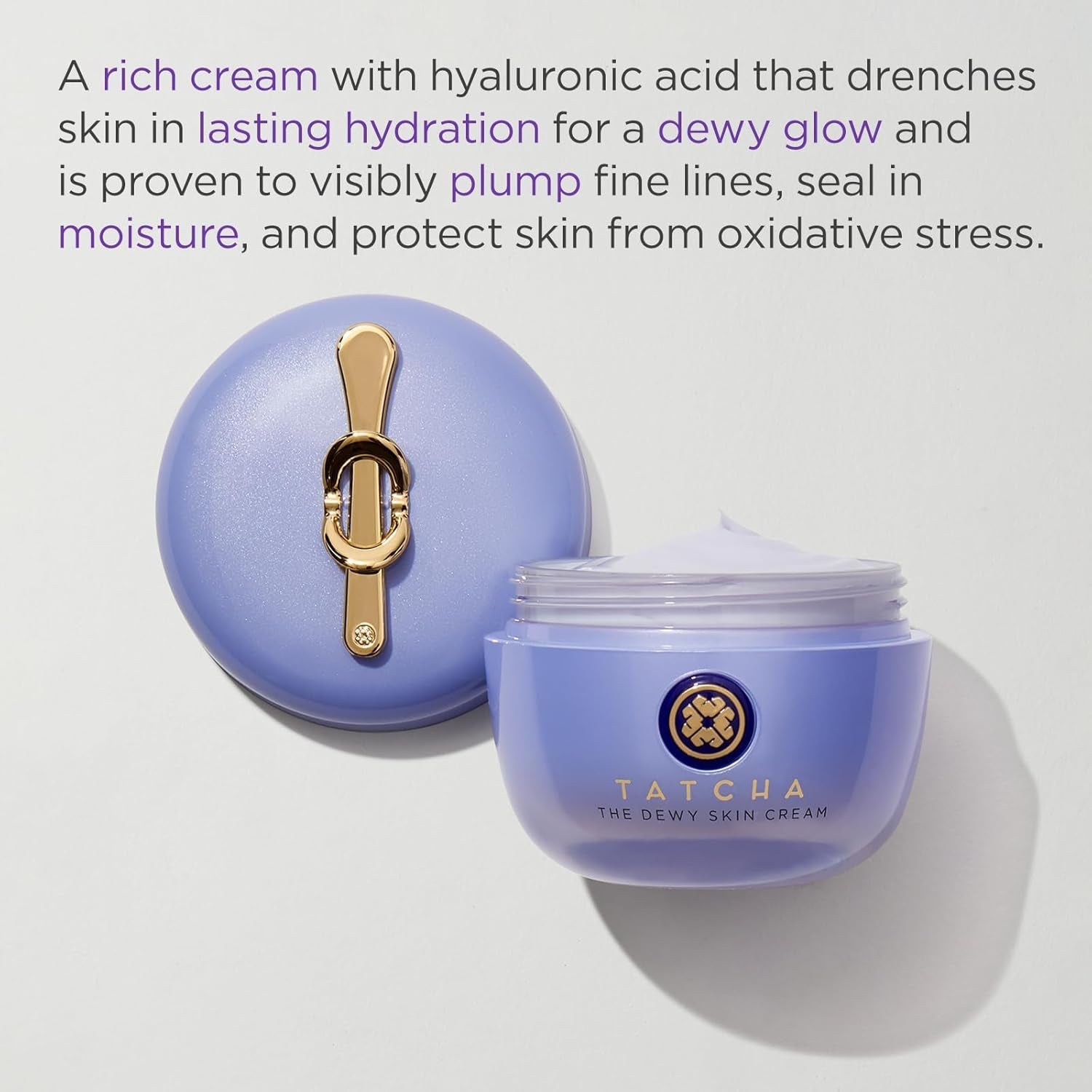 the Dewy Skin Cream: Rich Cream to Hydrate